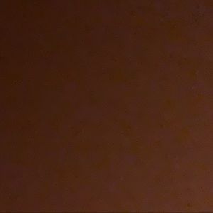 Meet your Posher, Steve